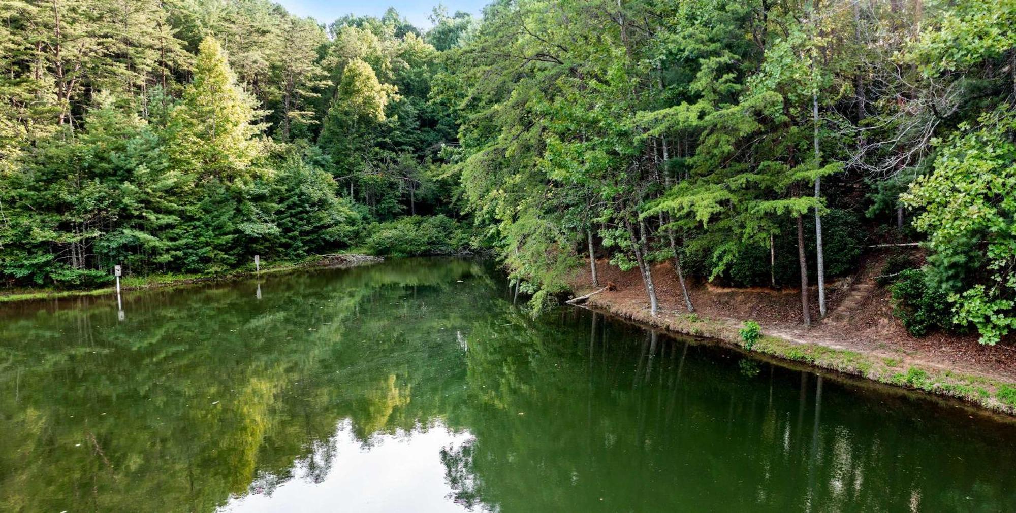 Lakeside Retreat Hot Tub Fishing Hiking Ellijay Zewnętrze zdjęcie